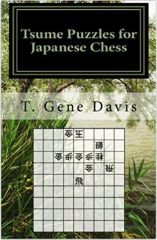 Tsume Puzzles Book